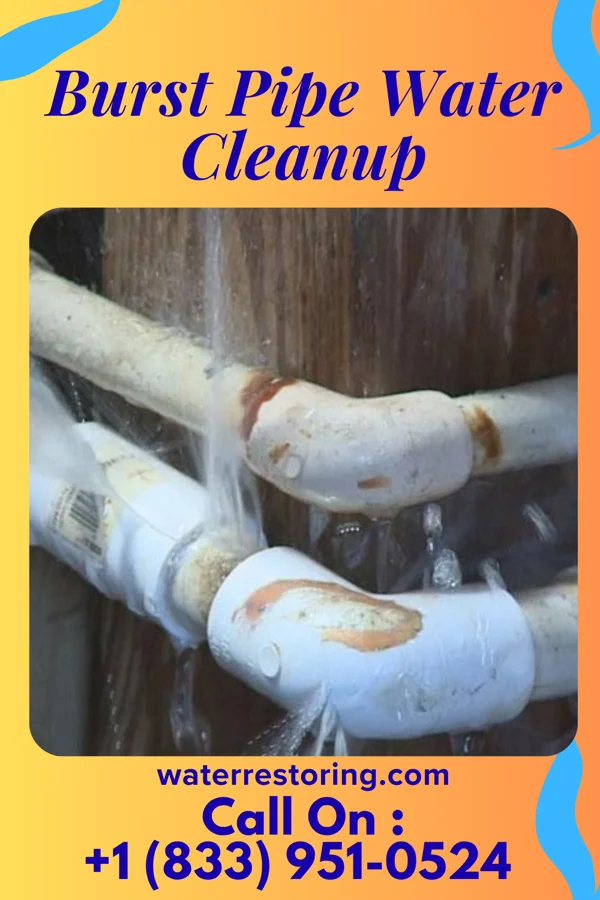 Burst Pipe Water Cleanup in Las Vegas, NV