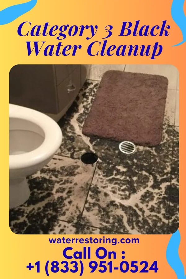Category 3 Black Water Cleanup in Las Vegas, NV